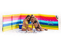 Premium 20 ft Beach Windscreen, Privacy Screen, Wind Blocker - Beach Colors, Free Rubber Mallet and Carry Bag Included - color: Beach Colors
