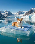 Dog Cooling Mat, 28x22in Pressure Activated Cooling Pad for Medium and Small Dogs & Cats, Durable Scratch-Resistant Pet Chill Mat for Crate, Car Travel & Indoor Use, Cold Fiber Surface, Blue