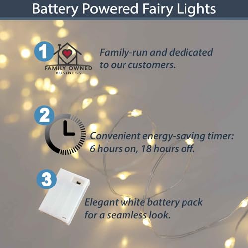 QBIS Warm White Fairy Lights Battery Operated With Timer Mode, 40 Micro LED for Mason Jars, 6.5ft Silver Wire Indoor Use - size: 1PK-40 Warm White