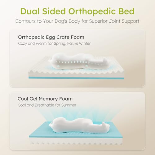 CWAWZ XXL Dog Bed for Extra Large Dogs, Giant Orthopedic Dog Bed with Cooling Gel Memory Foam, Waterproof Pet Bed with Removable Washable Cover, 53" Pet Sofa Bed Dutch Velvet with Bone Toy, Black - color: Black, size: XX-Large(53"L x 42"W x 9.5"Th)