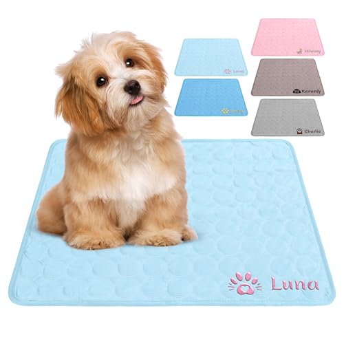 NIBESSER Personalized Dog Cooling Pad for Dog Cats Kennel Ice Silk Portable & Washable Summer Pet Self Custom Cooling Bed Blanket Crate Sleep Mat, Light Blue - color: Light Blue