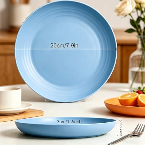 Wheat Straw Plates 4 Pack, BPA-Free Dinner Plates Set, Lightweight Reusable Plastic Plates, Microwave & Dishwasher Safe Salad Plates for Camping Kitchen, Blue - color: Light Blue