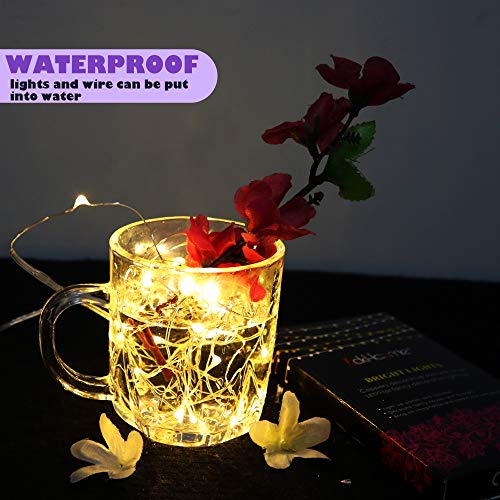 6 Pack Fairy Lights Battery Operated with Timer 2PCS Remote 6.5ft 20LED Warm White Twinkle Lights Waterproof Silver Wire Fireflies Lights DIY Mason Jar Wedding Party Christmas Centerpiece Table Deco - color: Warm White, size: 6.5ft
