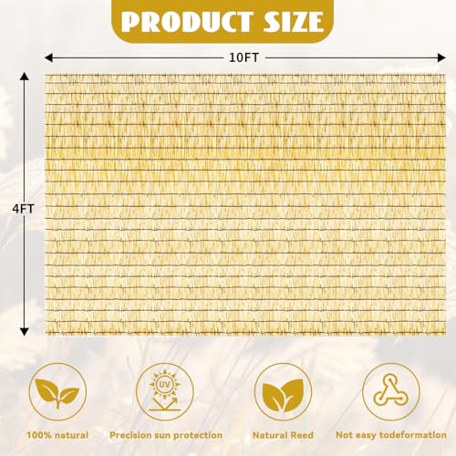 KOIUEYW Bamboo Reed Fencing, Natural Bamboo Fence Rolls 4 Feet High, Decorative Reed Screen Privacy Curtains for Patio Balcony Garden Backyard Outdoor, 4 x 10 FT - color: Natural, size: 4 x 10 FT