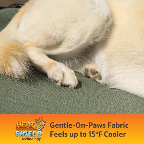 Coolaroo Pro Elevated Dog Bed with HeatShield Fabric – Advanced Cooling Raised Cot for Small & Medium Breeds, Easy-Clean, Low-to-Ground Access, Bonus Bolster Pillow – Glacier Grey - color: Glacier Grey, size: Medium