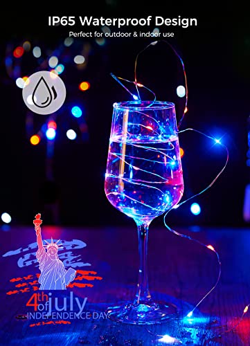 Brightown 4th of July Decor Patriotic Fairy Lights, 7 FT. Silver Wire Red White Blue String Lights, Firefly Starry Moon Lights, Micro LED Mini Fairy Lights for Jars DIY Picture Wedding - color: Red White & Blue, size: 12 Pack