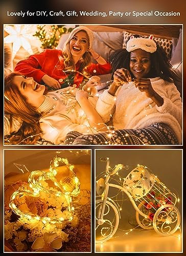 Brightown 12 Pack LED Fairy Lights Battery Operated String Lights - 7ft 20LED Waterproof Silver Wire Firefly Starry Moon Lights for DIY Crafts Wedding Table Centerpieces Party Ramadan Decorations - color: Warm White, size: 12 Pack
