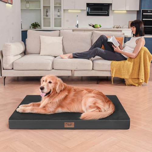 Comfort Dog Bed for Small Dogs & Cats, Waterproof Dog Crate Mat Orthopedic Egg Crate Foam with Washable Removable Cover, Black - color: Pure Black, size: 23.0"L x 17.0"W x 2.5"Th