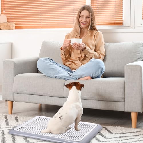 Mifoci Dog Training Pad Holder with Mesh Tray Non-Slip Leak Proof Puppy Potty Tray for Small Medium Large Dogs Pee Pad Holder Easy Clean Indoor Bathroom(19.69 x 14.17 Inch) - size: 19.69 x 14.17 Inch