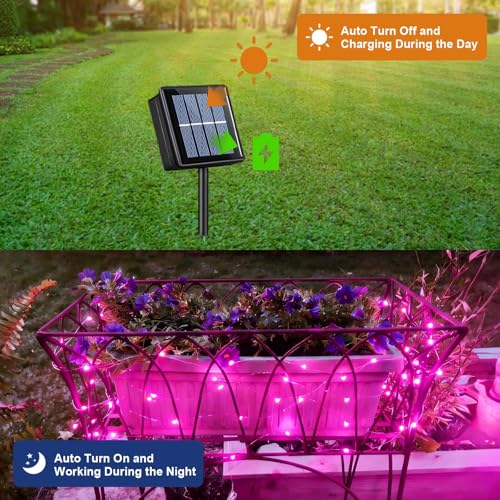 YEGUO 4 Pack Pink Solar Fairy Lights, Each 33ft 100 LED Christmas Lights Outdoor Waterproof, 8 Modes Sliver Wire Solar String Lights - color: Pink