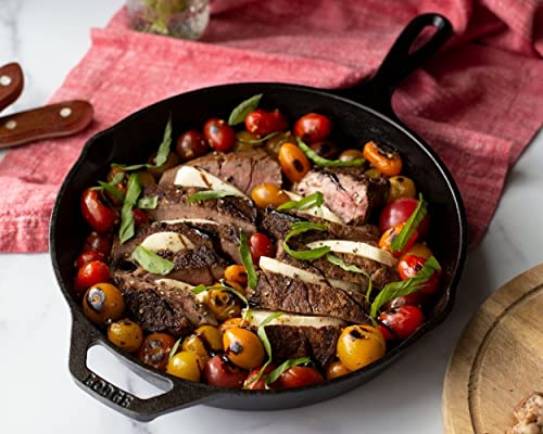 Lodge Cast Iron Skillet with Red Silicone Hot Handle Holder, 10.25-inch - size: 10.25 inch + Hot Handle Holder