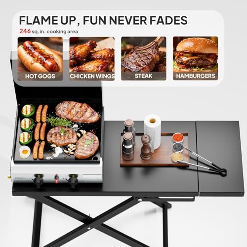 ROVSUN 2 Burner Foldable Propane Griddle with Wheels, Enameled Tray & Lid, 20000 BTU Portable Rolling Flat Top Gas Grill with Electronic Ignition & Regulator for Outdoor Cooking Camping BBQ Tailgating - size: 2 Burner With Lid