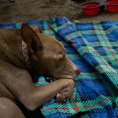 Large Outdoor Waterproof Blanket Extra Thick Fleece Stadium Blanket for Camping, Car, Pet, Picnics - Windproof, Wearable, Machine Washable 80" x 58" (Green Check) - color: Green Check