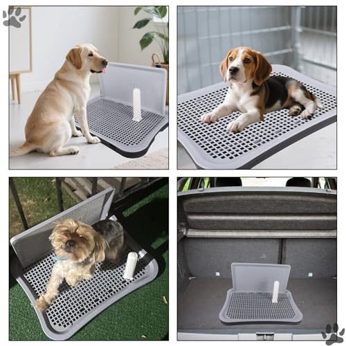 Indoor Dog Potty Tray with Splash Guard, 20"x15.5"x1.4" Pee Pad Holder for Puppies & Small Dogs, Waterproof Easy-Clean Dog Toilet Training Tray (Gray)