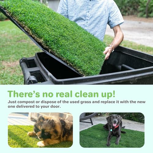 BETHEL Gotta Go Grass - Real Grass Dog Potty Pad with Tray, Indoor/Outdoor Natural Reusable Puppy Pee Pads, Fresh Patch for Puppy Potty Training & Dog Accessories- 2 Pack (16" x 24") - size: 2 Pack, With Tray