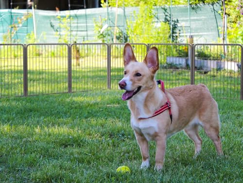 FXW Aster Dog Playpen Designed for Yard, 24inch 48 Panels - size: 24"H & 48 Panels