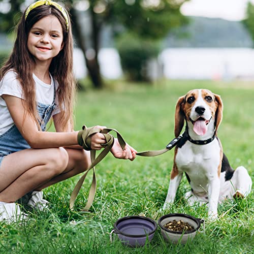 Dog Bowl Pet Collapsible Bowls, 2 Pack Collapsible Dog Water Bowls for Cats Dogs, Portable Pet Feeding Watering Dish for Walking Parking Traveling with 2 Carabiners (Small, Purple & Concrete Gray) - color: Purple & Concrete Gray, size: Small
