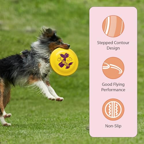 Frisbee Fastback Outdoor Flying Disc for Kids, 9.35 Inch Lightweight Sports Disc, Dog-friendly, for Beach Lawn Backyard Games and Family Fun - 100g - color: Yellow