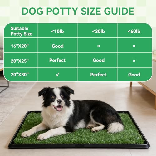 Dog Grass Pad with Tray,20"x25" Dog Litter Box, Artificial Turf Potty System with 2 Reusable Grass Patches + Washable Pee Pads, Portable Indoor Outdoor for Balcony Patio Apartment - size: Medium-2 Grass Pad with Changing pad