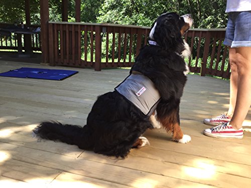 CoolerDog Dog Cooling Vest & Cooling Collar – Ice Vest for Hot Weather Heat Relief, Re-Freezable Pure Water Inserts (Large 27”–34” Girth) - size: L