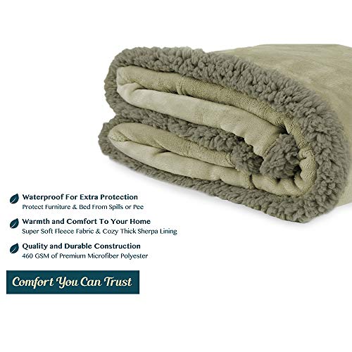 PAVILIA Waterproof Blanket for Couch, Sofa | Waterproof Dog Blanket for Large Dog, Puppy, Cat | Pet Blanket Protector | Plush Soft Warm Fuzzy Sherpa Blanket Bed Throw, Taupe, 60x80 - color: Taupe, size: 60x80 Inches