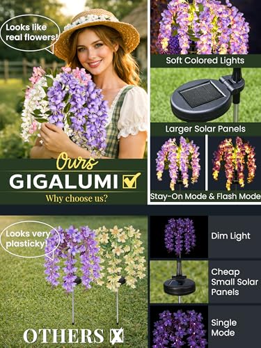 GIGALUMI Solar Lights Outdoor for Garden Decor, 3 Pack Solar Flower Lights Waterproof, 2 Lighting Modes Wisteria for Pathway,Yard, Patio Decoration, Gardening Gifts for Women (Multi-Colored) - color: Multicolor