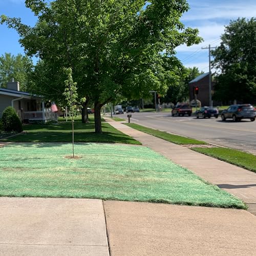 American Excelsior QuickGrass Pro - 4'x50' - Green Erosion Control Blanket Landscape Roll