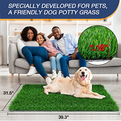 GLOBREEN Dogs Grass Pee Pad for Puppy Potty Training, Pet Friendly Artificial Grass Turf Mat Outdoor Indoor Use, High Drainage, 39.3" x 31.5" - size: L: 39.3" x 31.5"