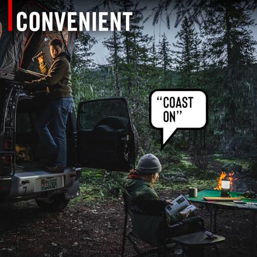 COAST EAL35R 1000 Lumen Voice-Controlled LED Emergency & Camping Area Lantern with Warm, Cool White, Day, Red & Red Flashing Mode, Power Bank Functionality - Black - color: Black