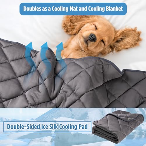 Paw Legend Dog Cool Mat for Dogs & Cats - Cool Tech Fabric, Washable Dog Sleeping Pad for Kennel, Sofa, Floor, Car Seats - Summer Cooling Blanket, Large - color: Gray, size: Large(40x55")