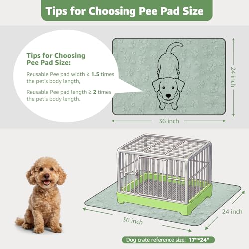 LOOBANI Washable Pee Pads for Dogs: 2 Pack Super Absorbent Reusable Puppy Pads, Leakproof and Waterproof Dog Training Pads Whelping Pads for Potty, Floor, Crate, Couch Bed and Travel, 36"x24" - color: Green Dog Element, size: 36"x24"(Pack of 2)
