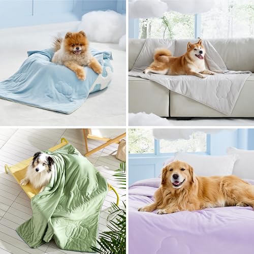 LE SURE Premium Cooling Blankets for Small Dogs - Washable Small Dog Cooling Throw Blanket with Q-MAX>0.4，Durable Self Cooling Pet Mat for Cat, Cooling Summer Blanket for Hot Weather, Purple, 25x35 - color: Liact, size: S(25x35")