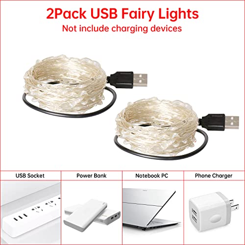 Blingstar USB Powered Fairy Lights, 2 Pack 33Ft 100 LED, Flexible Silver Wire, Mini String Lights for Halloween/Christmas Tree/Party/Stage/Holiday Indoor Decoration, Red - color: Red