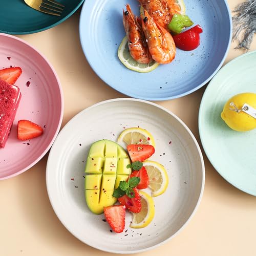 9 Inch Wheat Straw Plates, 2Pcs Reusable Dinner Plates, Wheat Straw Plate for Camping Kitchen(Color pink) - color: Pink