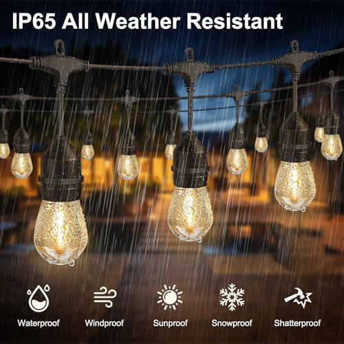 100FT Outdoor String Lights with 64+4 Bulbs (1.5FT Bulbs Spacing), Remote & Dimmer, Commercial Patio String Lights with 3 Mode Light & Timing, IP65 Waterproof, 100PC Mounting Ties for Outside - size: 100ft With Remote (1.5ft Bulbs Spacing)