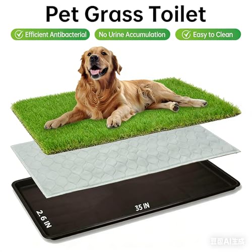 Artificial Grass Dog Pee Pad with Tray,Washable 3-Layer Puppy Training Pad for Indoor Use Training in Assorted Size Indoor Dog Toilet - color: Large1, size: B