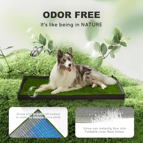 HQ4US 4LEGS Dog Grass Pad with Foldable Dog Litter Box,Extra Large Liner Base for Balcony，Ultra-Absorbent Artificial Grass Pads for Dogs Pee Pad Holder, Potty Training, 2 PCS Reusable Pee Pad - size: X-Large for Dog＜ 38" Length