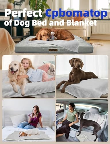 Sytopia Indestructible Dog Bed, 42" XL Chew Proof Dog Bed for Extra Large Dogs (90 lbs), Durable Waterproof Pet Bed, Chew Resistant Dog Crate Pad, Washable Cover, Indoor & Outdoor Use, Light Gray