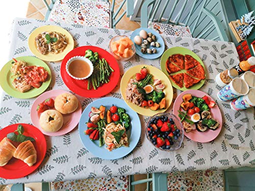 POSATE 60PCS Baby Blue Disposable Plastic Plates, Heavy Duty Plates for Wedding/Party, 30PCS Dinner Plates 10.25’’ and 30PCS Dessert/Salad Plates 7.5’’, Blue Plates for Party Event - color: Light Bule