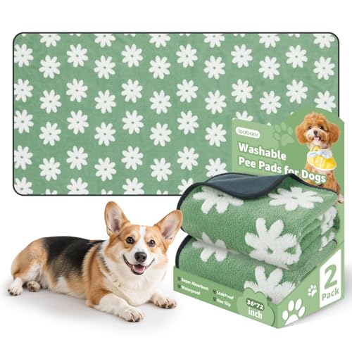 LOOBANI Washable Puppy Pads: Waterproof Reusable Pee Pads for Dogs, Non-Slip and Leak-Proof Dog Pee Mat, Absorbent Dog Training Pads for Puppy Playpen, Crate, Potty Training (36"x72", 2 Packs) - color: Green Daisy, size: 36"x72"(Pack of 2)