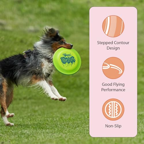 Frisbee Fastback Outdoor Flying Disc for Kids, 9.35 Inch Lightweight Sports Disc, Dog-friendly, for Beach Lawn Backyard Games and Family Fun - 100g - color: Green