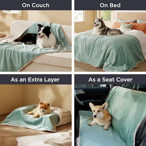 Bedsure Waterproof Dog Blankets for Small Dogs - Small Cat Blanket Washable for Couch Protection, Sherpa Fleece Puppy Blanket, Soft Plush Reversible Throw Furniture Protector, 25"X35", Light Green - color: Light Green, size: S(25x35")