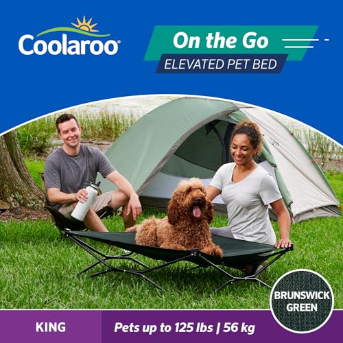 Coolaroo On-The-Go Elevated Dog Bed - Foldable Pop-Up Travel Dog Bed with Breathable, Moisture-Resistant Fabric, Carry Bag Included, Lightweight & Portable, Brunswick Green, Extra Large - color: Brunswick Green, style: King