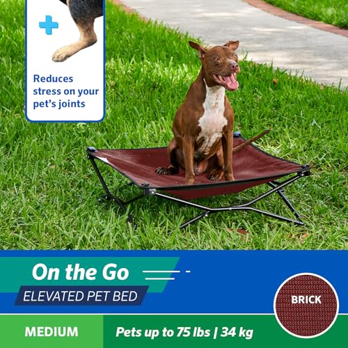 Coolaroo On-The-Go Elevated Dog Bed - Foldable Pop-Up Travel Dog Bed with Breathable, Moisture-Resistant Fabric, Carry Bag Included, Lightweight & Portable, Brick, Medium - color: Brick, style: Medium