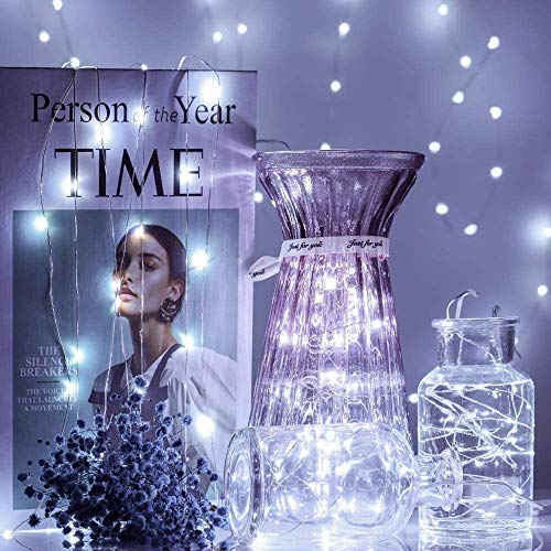 24 Pack Fairy Lights Battery Operated [3 Modes] 7ft 20 LED Mini Twinkle String Lights Waterproof Silver Wire Firefly Starry Lights for Wedding Party Mason Jars Christmas Decor, Warm White & Cool White - color: Warm White + Cool White