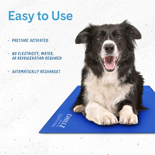 The Green Pet Shop Chillz Gel Mat, Large - Pressure-Activated Cooling Pad for Pets 25-50 lbs - Non-Toxic, No Water or Refrigeration Needed - Ideal for Home, Travel & Crates - size: L