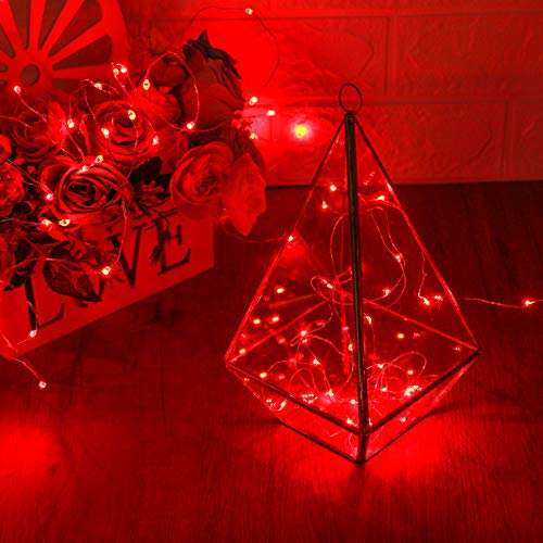 XINKAITE String Lights, 10FT/3M Red LED, Waterproof, Indoor/Outdoor, Battery Operated, 30 Super Bright Bulbs, Perfect for Holidays & Parties - color: Red, size: 10ft