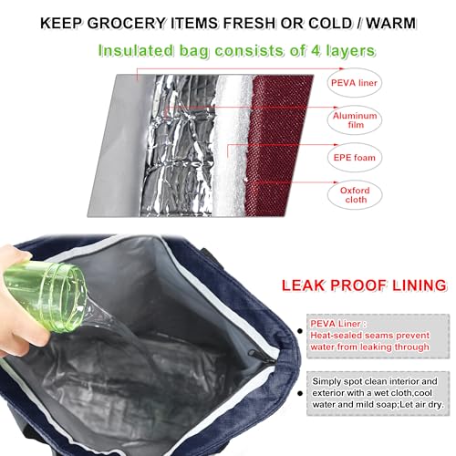 BeeGreen Cooler Bag Soft Insulated Tote for Beach Travel Grocery Shopping Lunch Portable Large Ice Coolers with Handle Hard Freezer Bags with Zippered Top Foldable Leakproof Delivery Totes Gray - color: Gray
