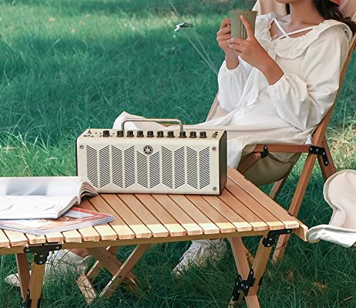 S'more Folding Picnic Table, Portable Camping Table with Carry Bag, Wood Outdoor Table for Picnic, Camping, Travel, Party, Beach, Garden, Patio, gailgating, BBQ,Easy to Assembly (L Size-120cm) - size: L-120CM, style: Wood