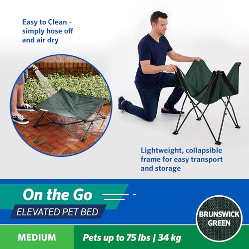 Coolaroo On-The-Go Elevated Dog Bed - Foldable Pop-Up Travel Dog Bed with Breathable, Moisture-Resistant Fabric, Carry Bag Included, Lightweight & Portable, Brunswick Green, Medium - color: Brunswick Green, style: Medium